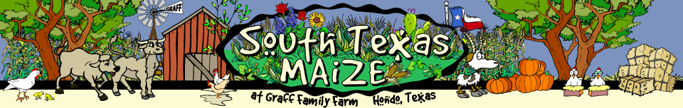 South Texas MAiZE