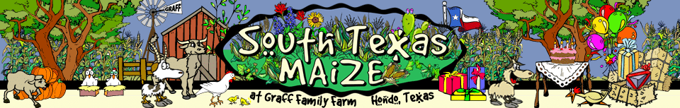 South Texas MAiZE