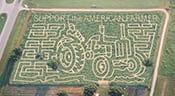 2008 maze design